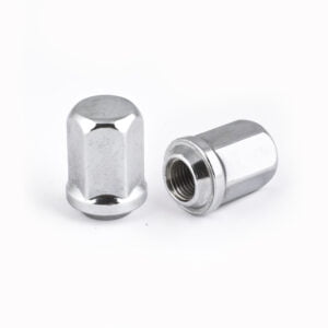 BİJON SOMUNU (KROMAJLI) R/12